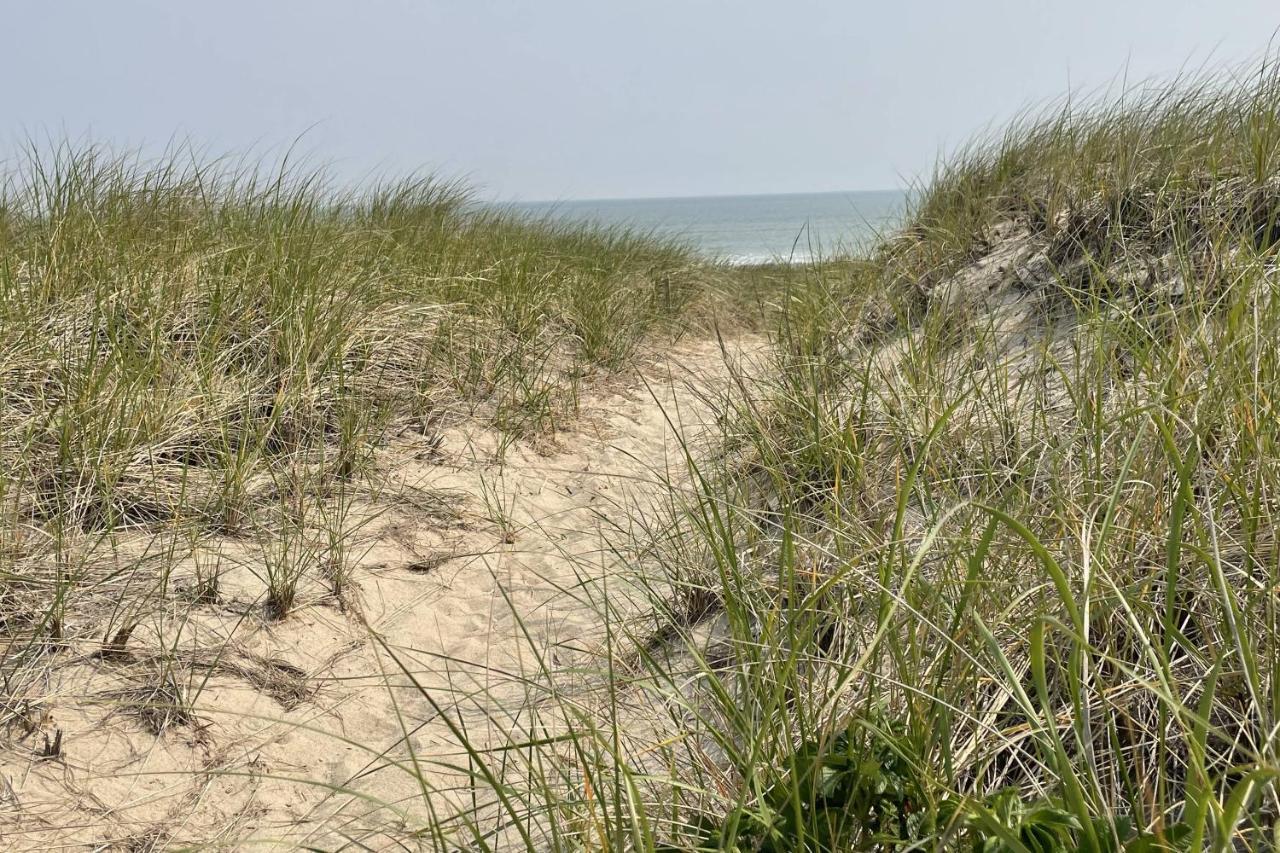 Sandy Clydesdale: Sagamore Beach Sandwich 빌라 외부 사진