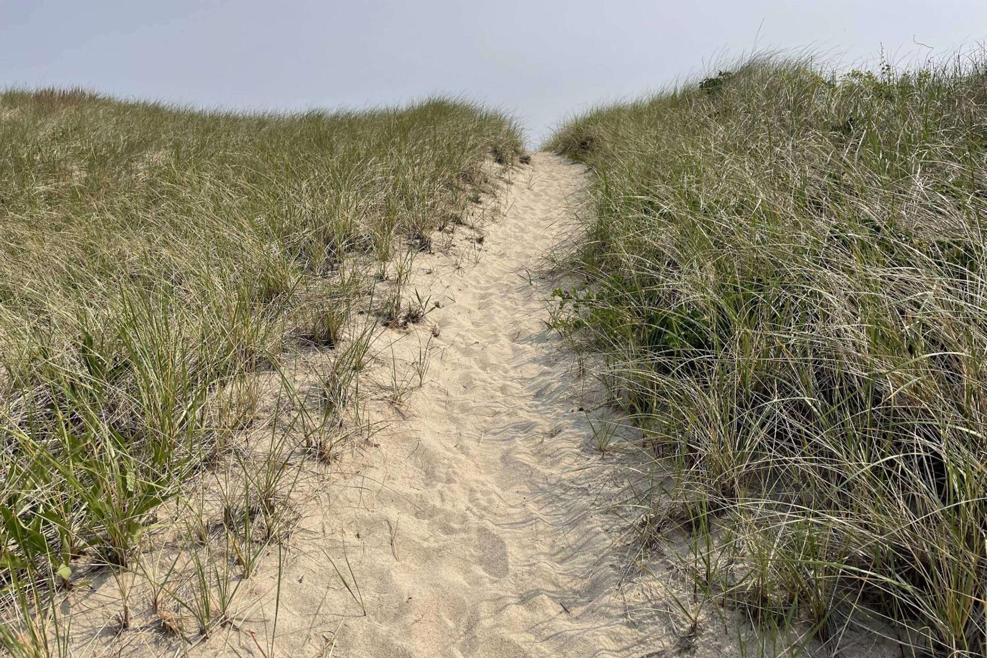 Sandy Clydesdale: Sagamore Beach Sandwich 빌라 외부 사진